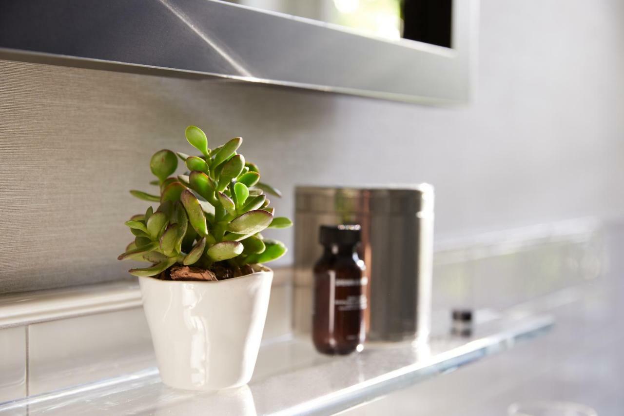 The Whitney Hotel Boston Exteriör bild A small plant in a kitchen